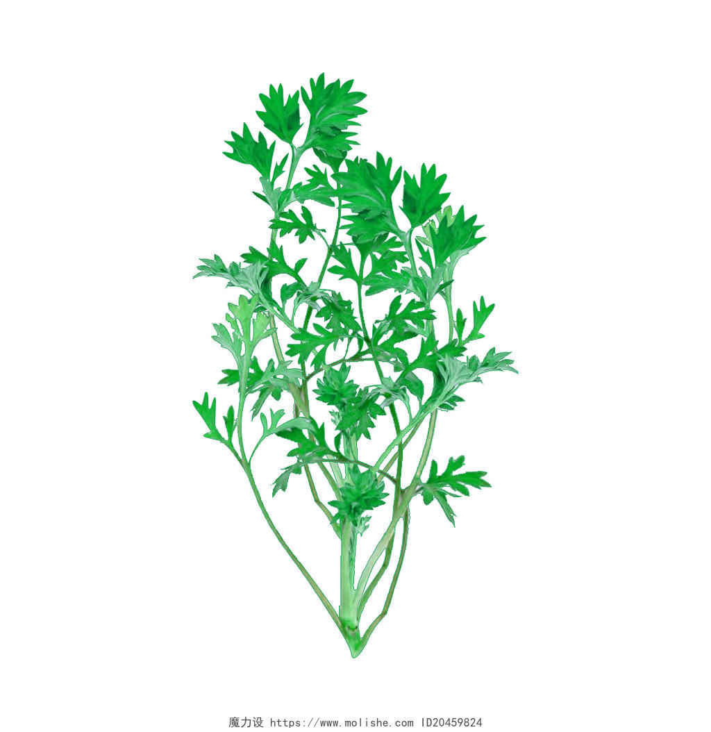 卡通艾草绿色装饰植物装饰元素